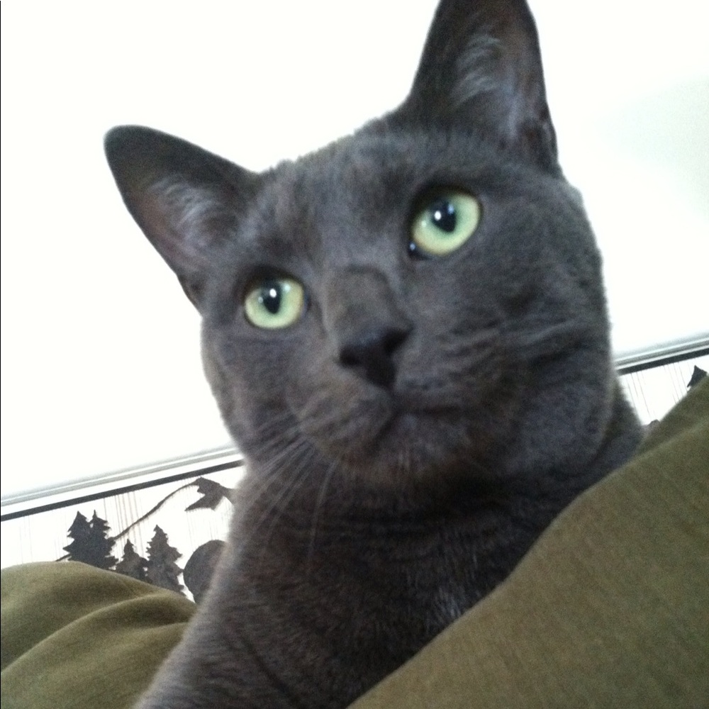 Meet your Posher, Val